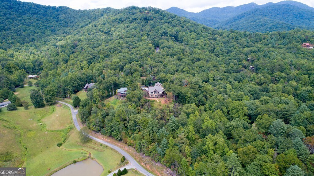 205 Hightower Ridge Drive Property Photo 47