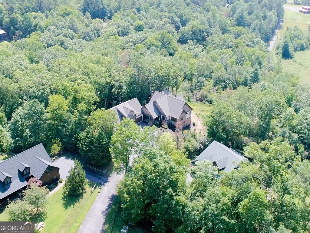 205 Hightower Ridge Drive Property Photo 59