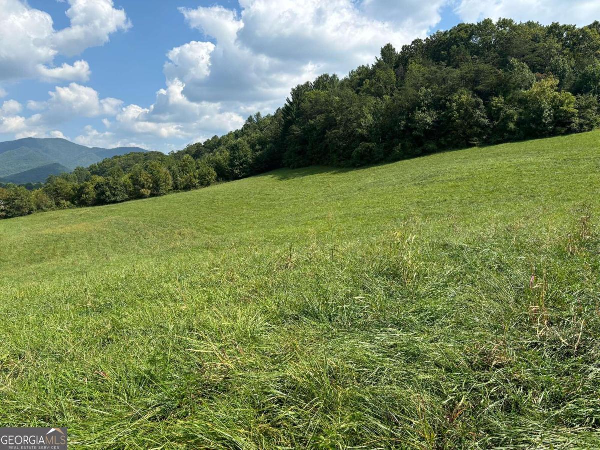 9.12-ac Mission Hill Road Property Photo 15