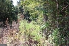 3206 East Fairview Road Property Photo 3