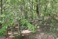 3206 East Fairview Road Property Photo 5