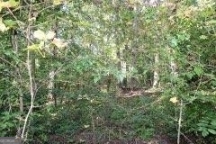 3206 East Fairview Road Property Photo 7