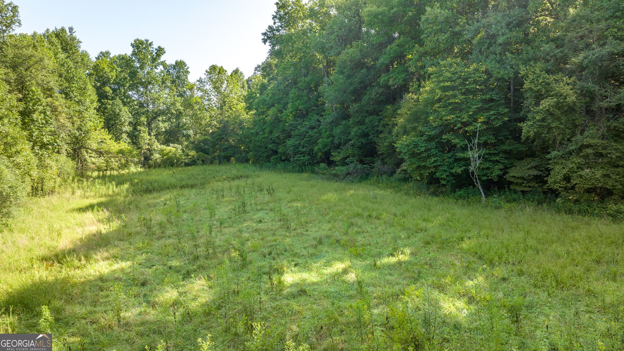 0 Gold Crest Drive Property Photo 4