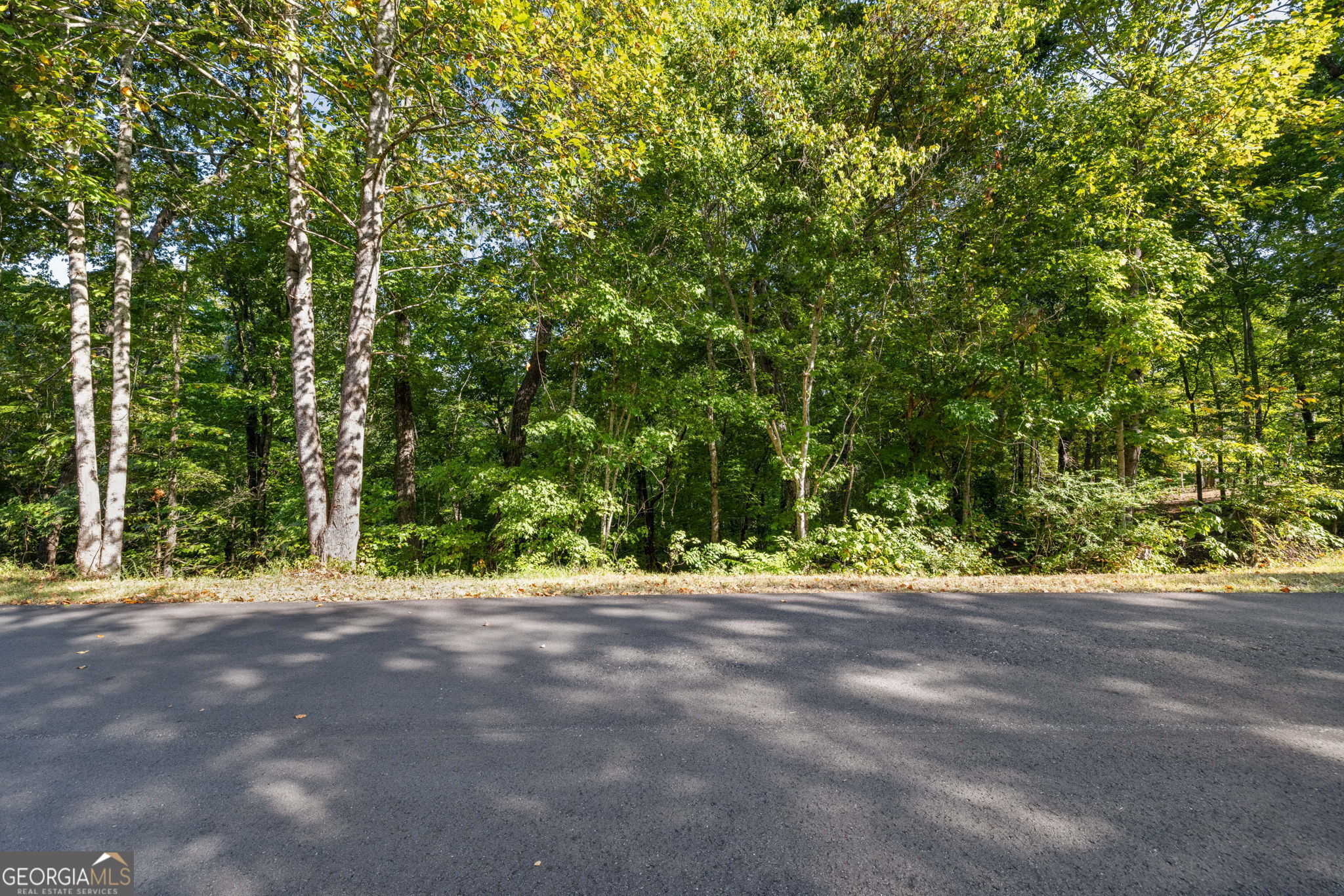 0 Gold Crest Drive Property Photo 6