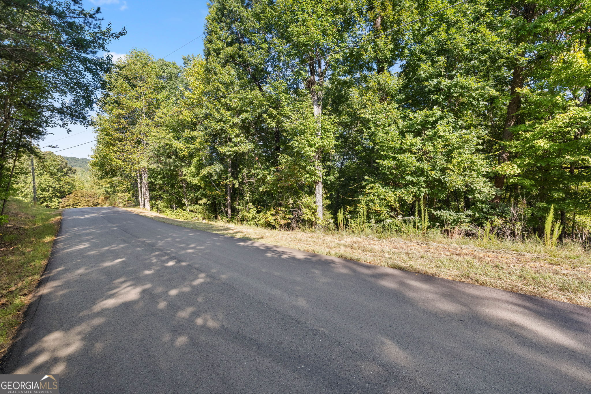 0 Gold Crest Drive Property Photo 8