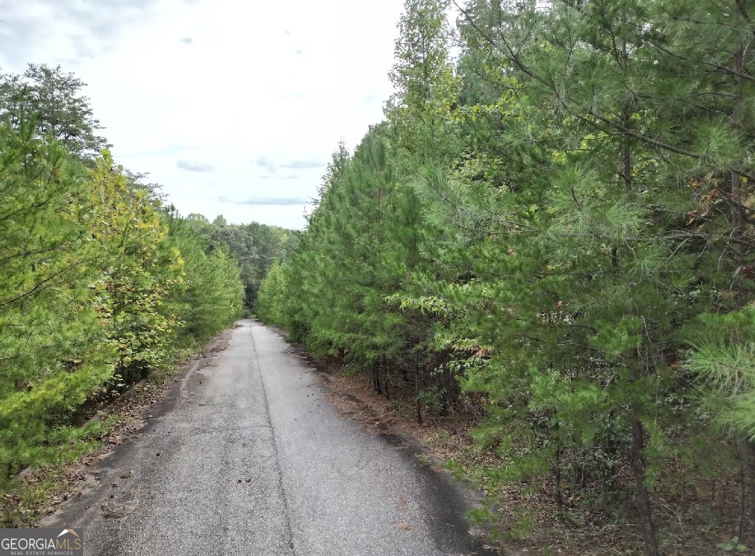 52 Skyline Drive