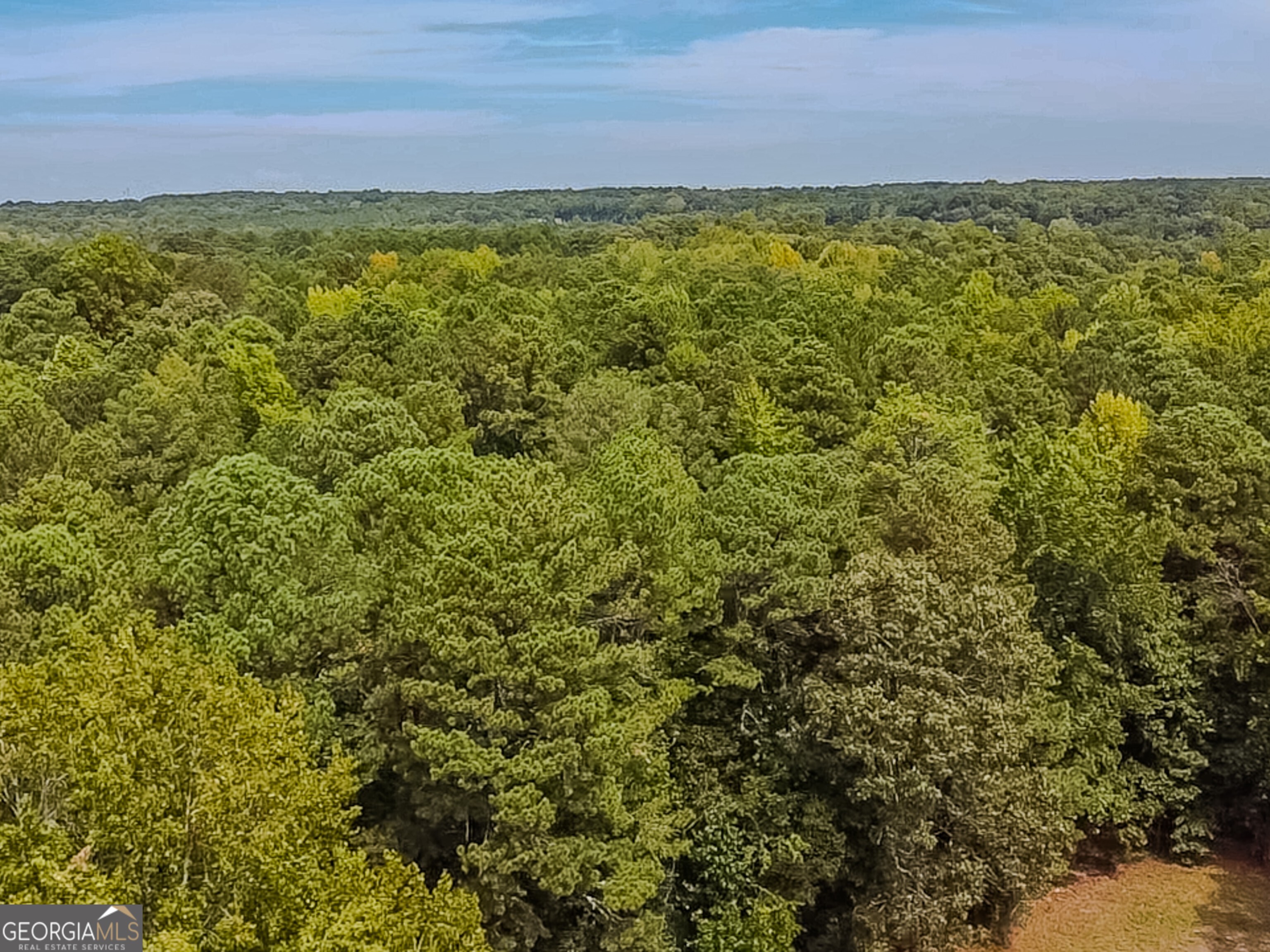 1152 Harbins Road Property Photo 41