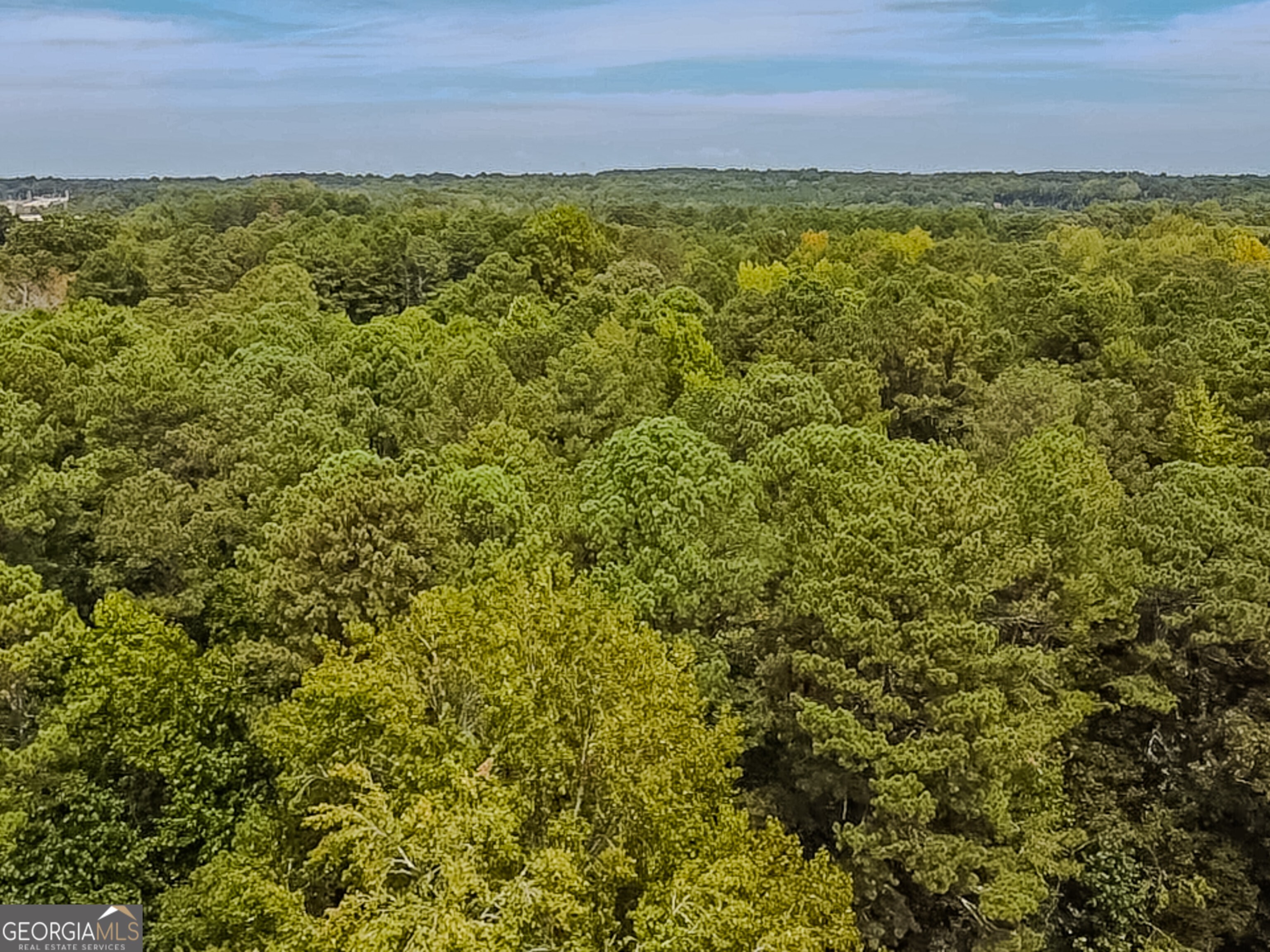 1152 Harbins Road Property Photo 44
