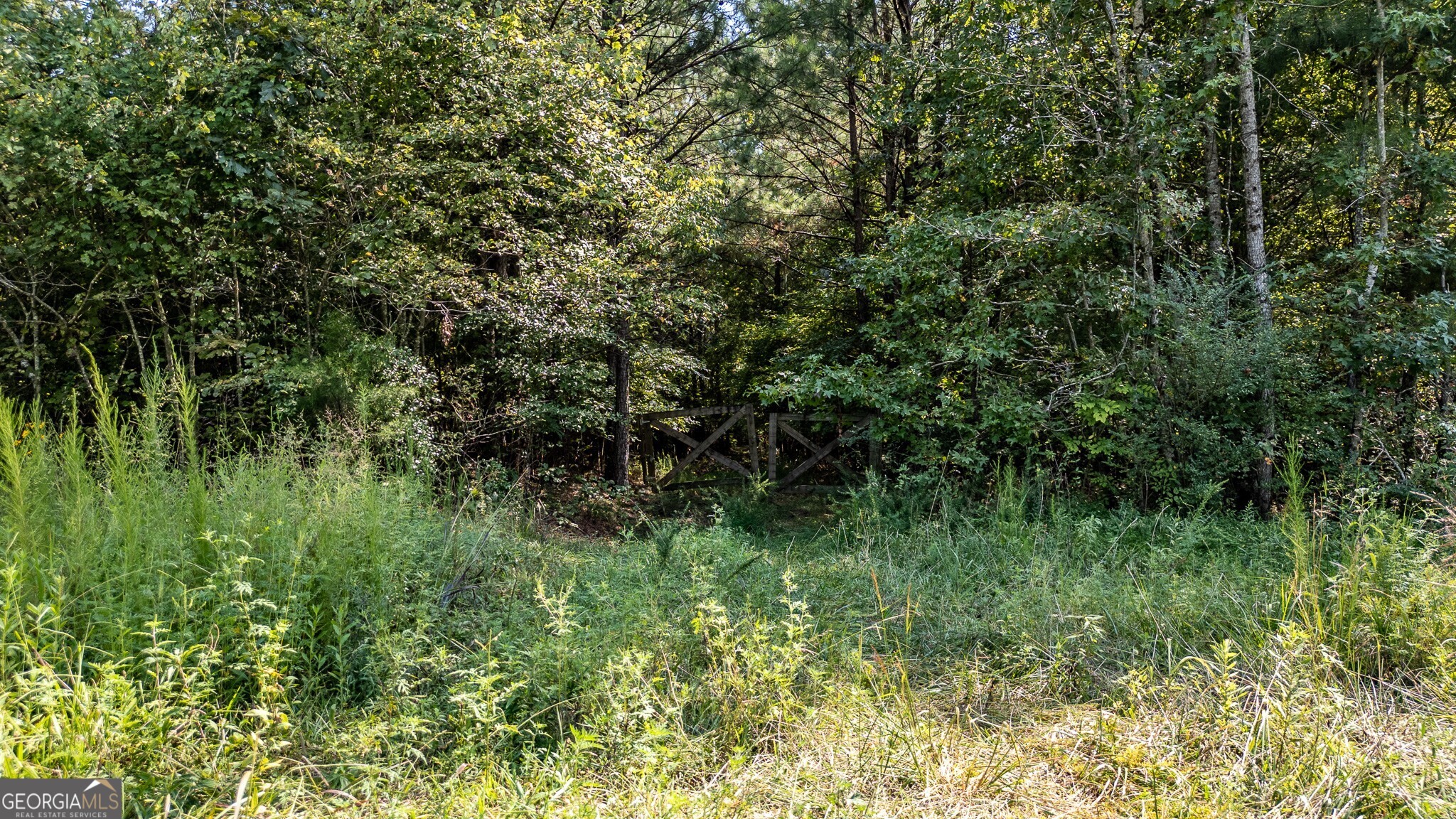 0 Townsend Road Property Photo 1
