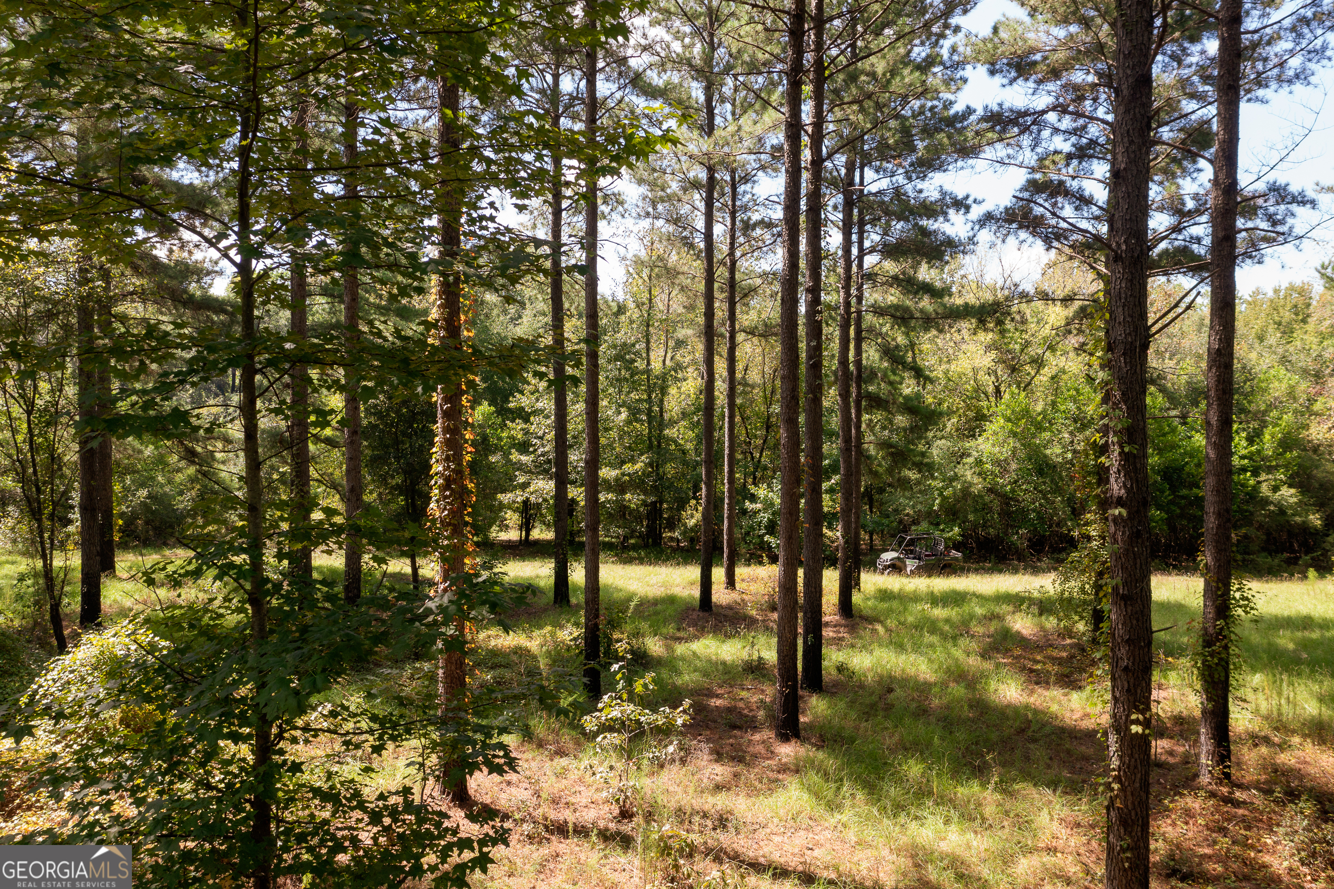 0 W Scootch Davis Road Property Photo 11