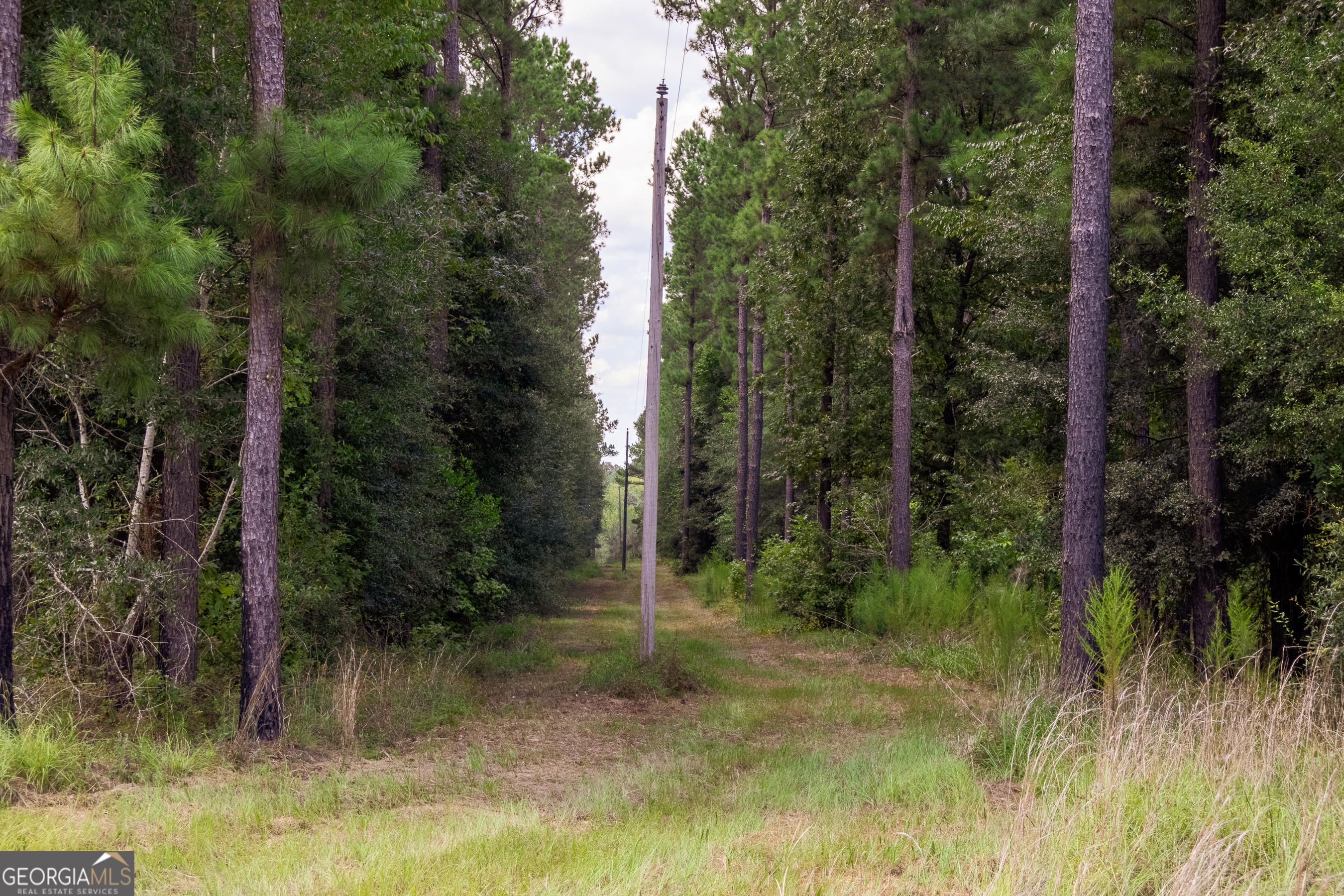 0 W Scootch Davis Road Property Photo 17