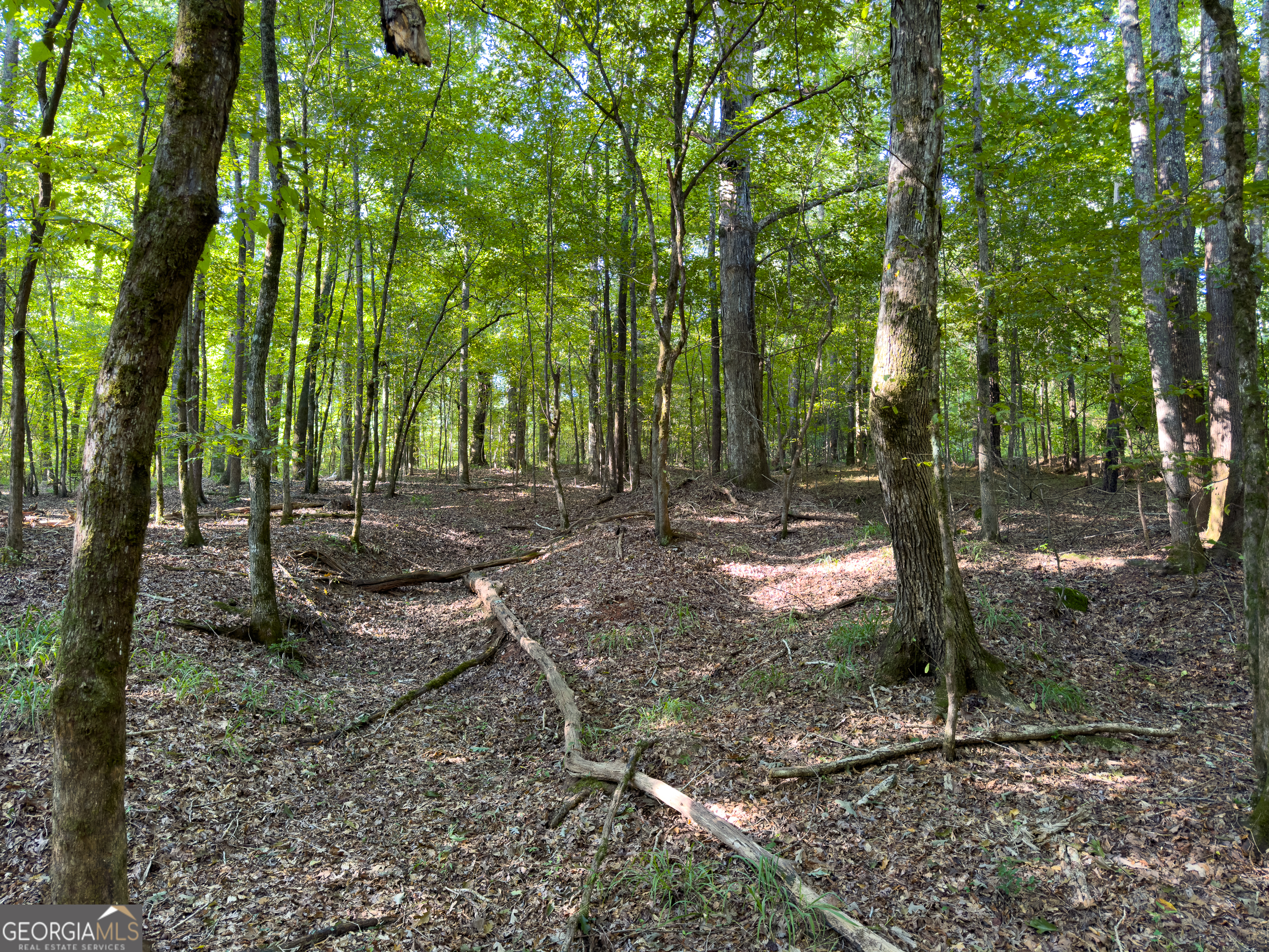 0 W Scootch Davis Road Property Photo 22
