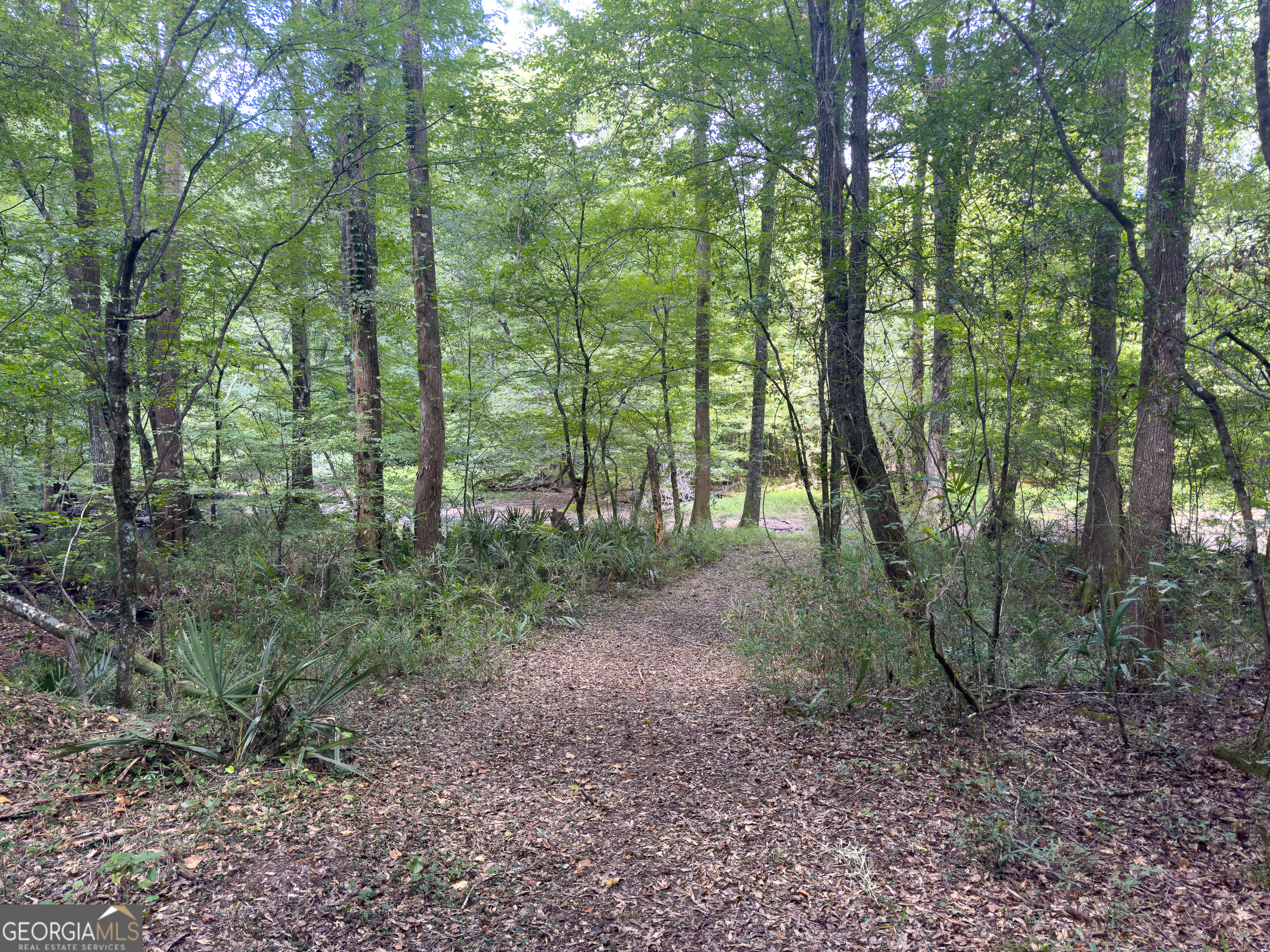 0 W Scootch Davis Road Property Photo 30