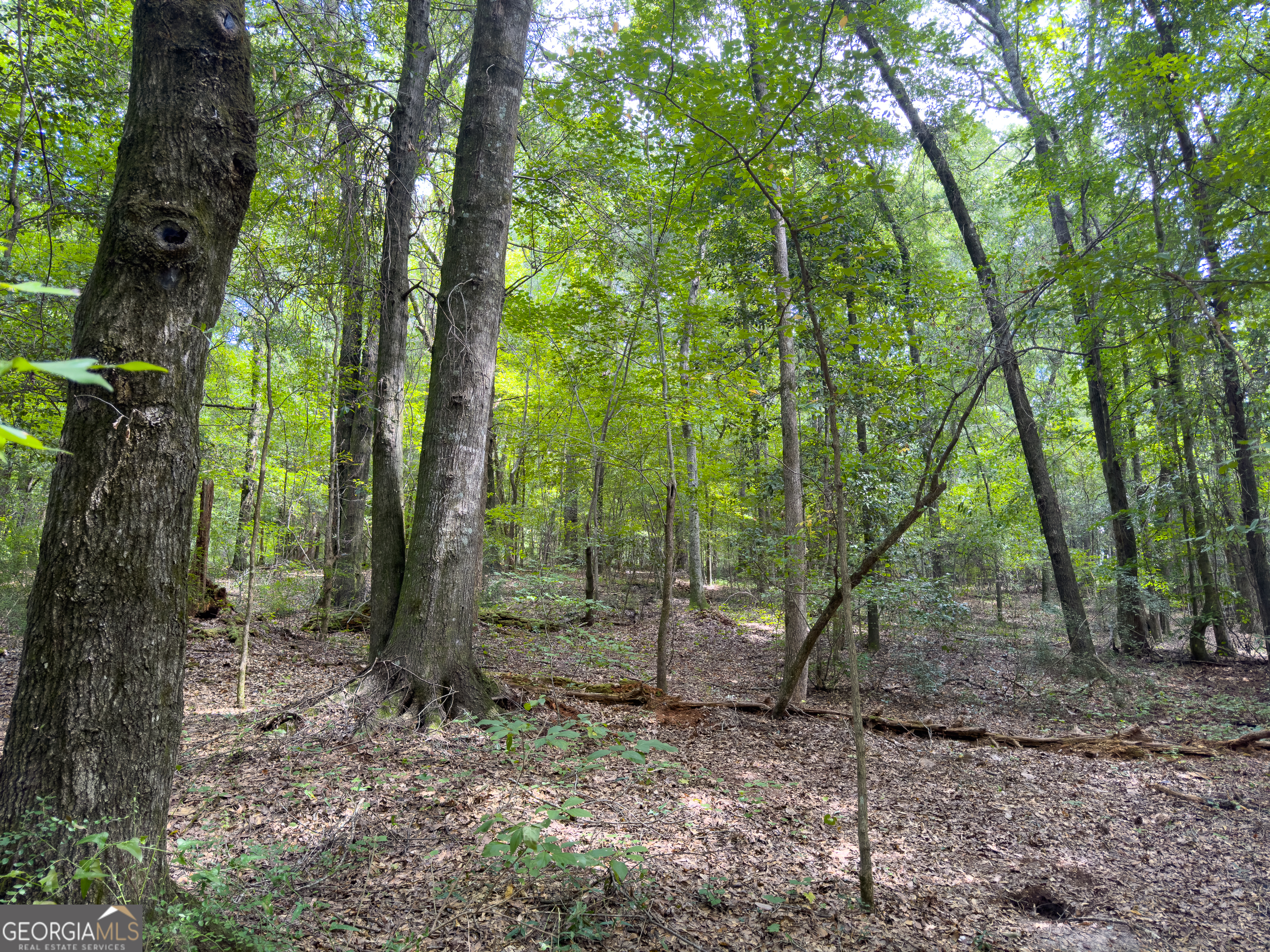 0 W Scootch Davis Road Property Photo 33