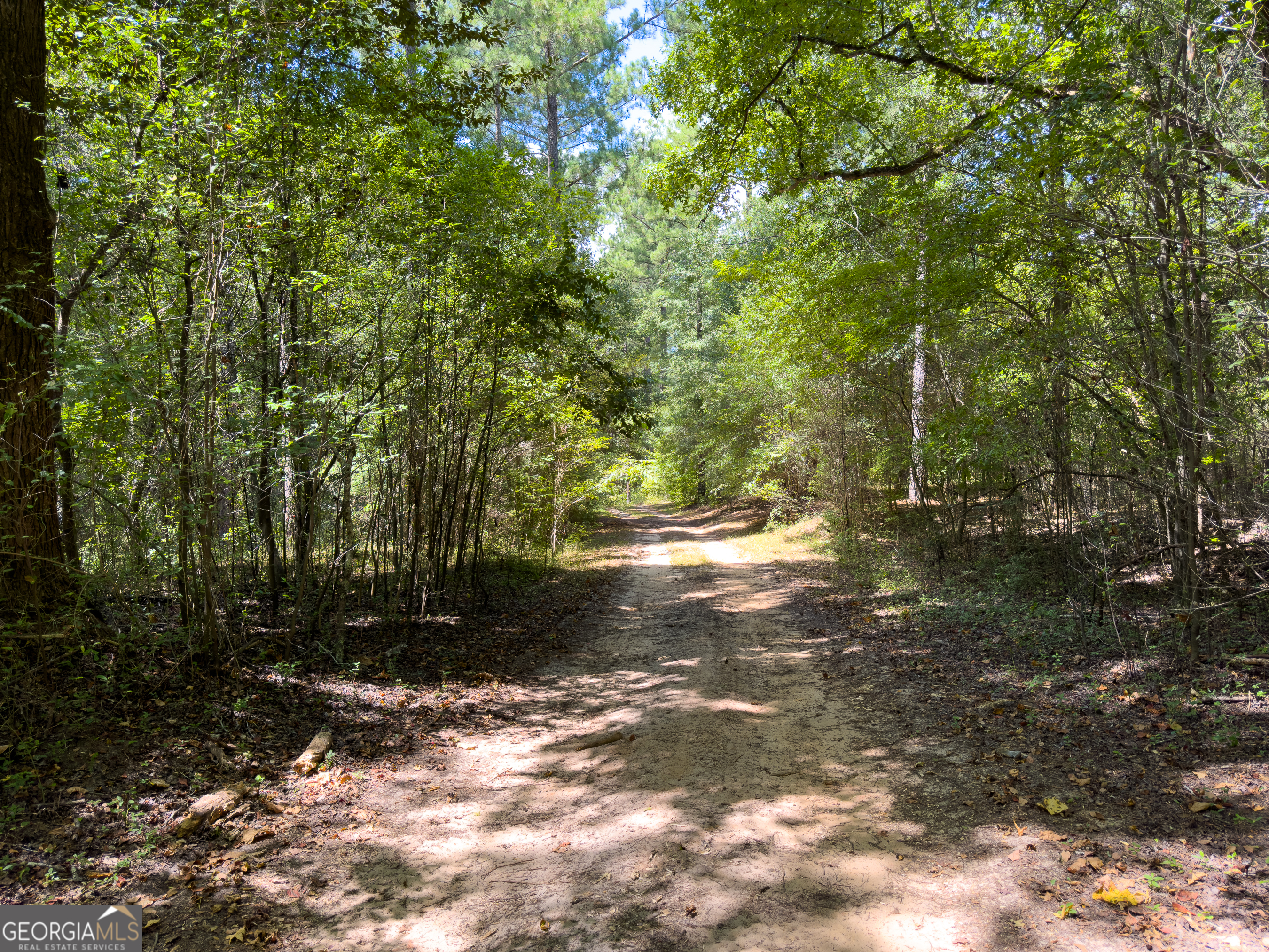 0 W Scootch Davis Road Property Photo 35
