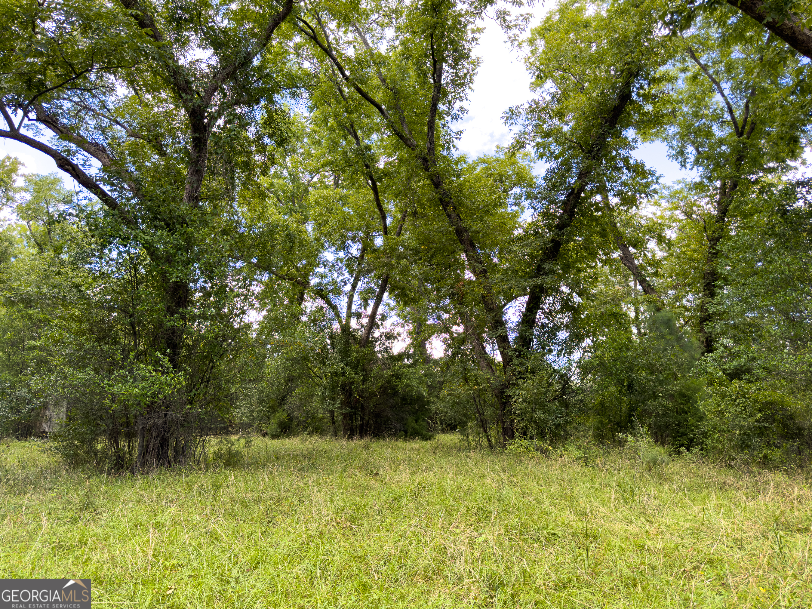 0 W Scootch Davis Road Property Photo 39
