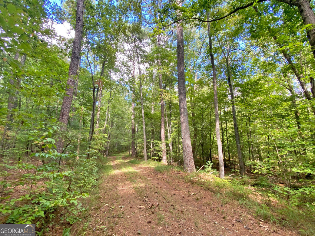 152ac Whitepath Road Property Photo 1