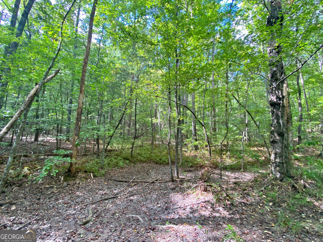 152ac Whitepath Road Property Photo 2
