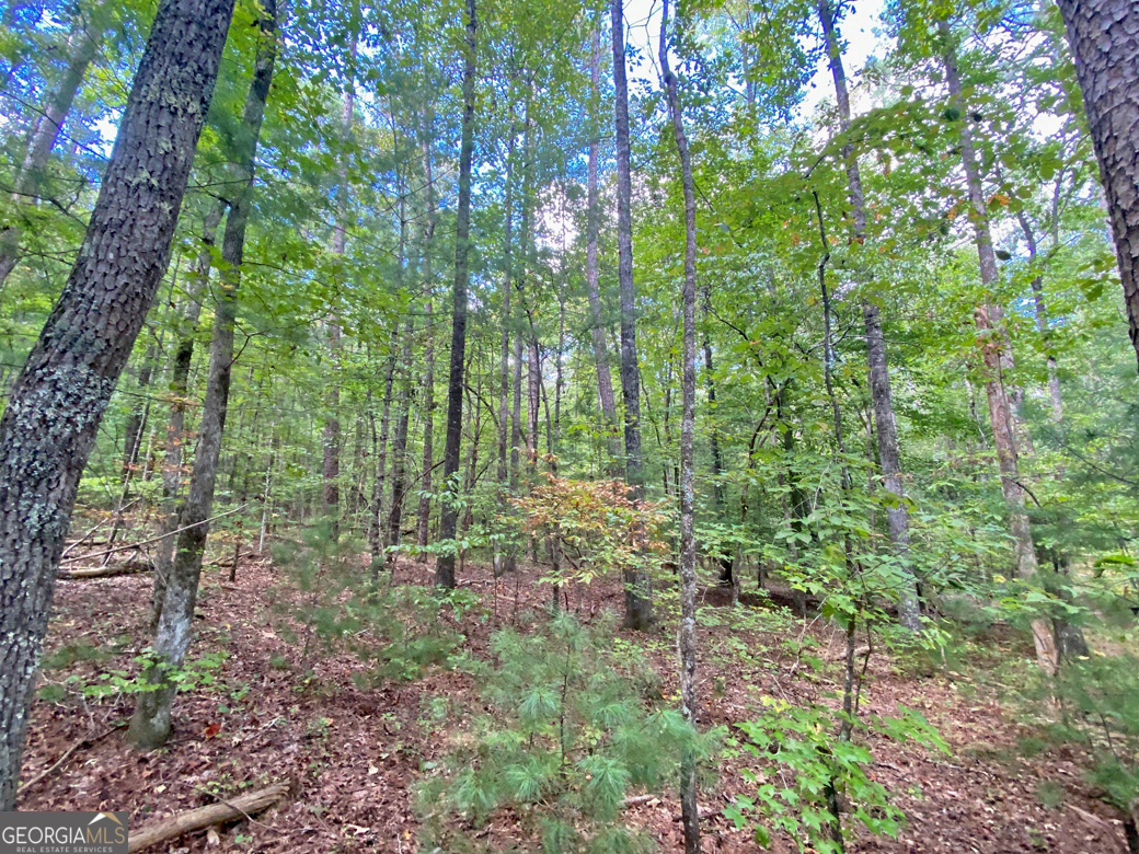 152ac Whitepath Road Property Photo 3