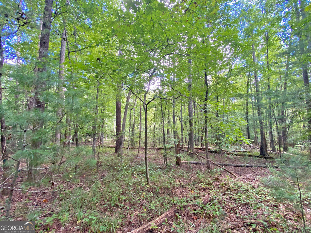 152ac Whitepath Road Property Photo 4