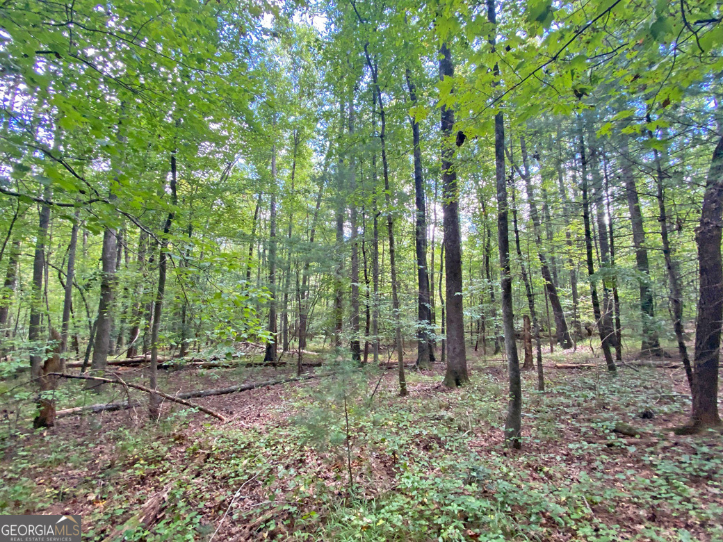 152ac Whitepath Road Property Photo 5