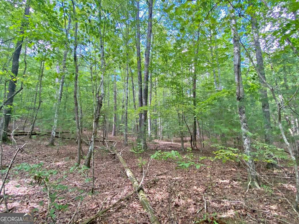152ac Whitepath Road Property Photo 7