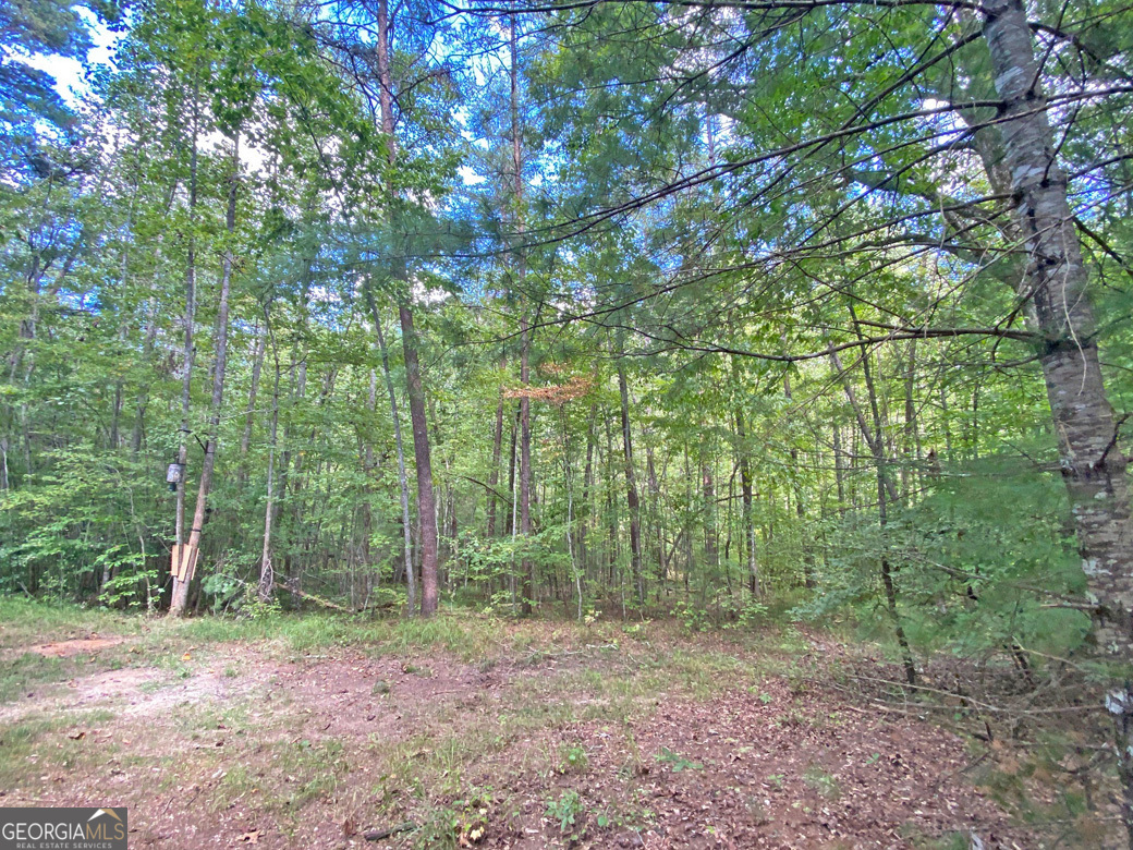 152ac Whitepath Road Property Photo 8