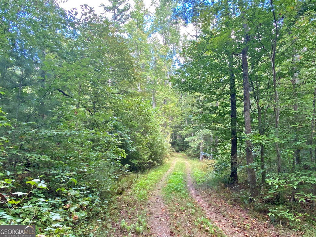 152ac Whitepath Road Property Photo 9