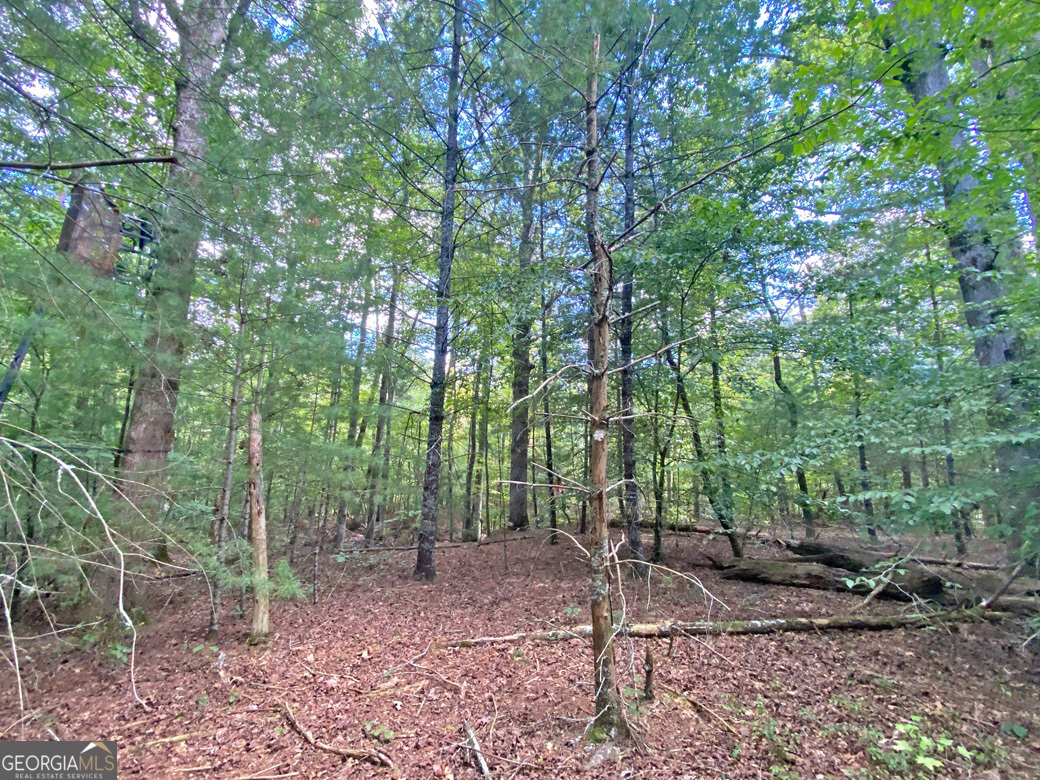 152ac Whitepath Road Property Photo 10