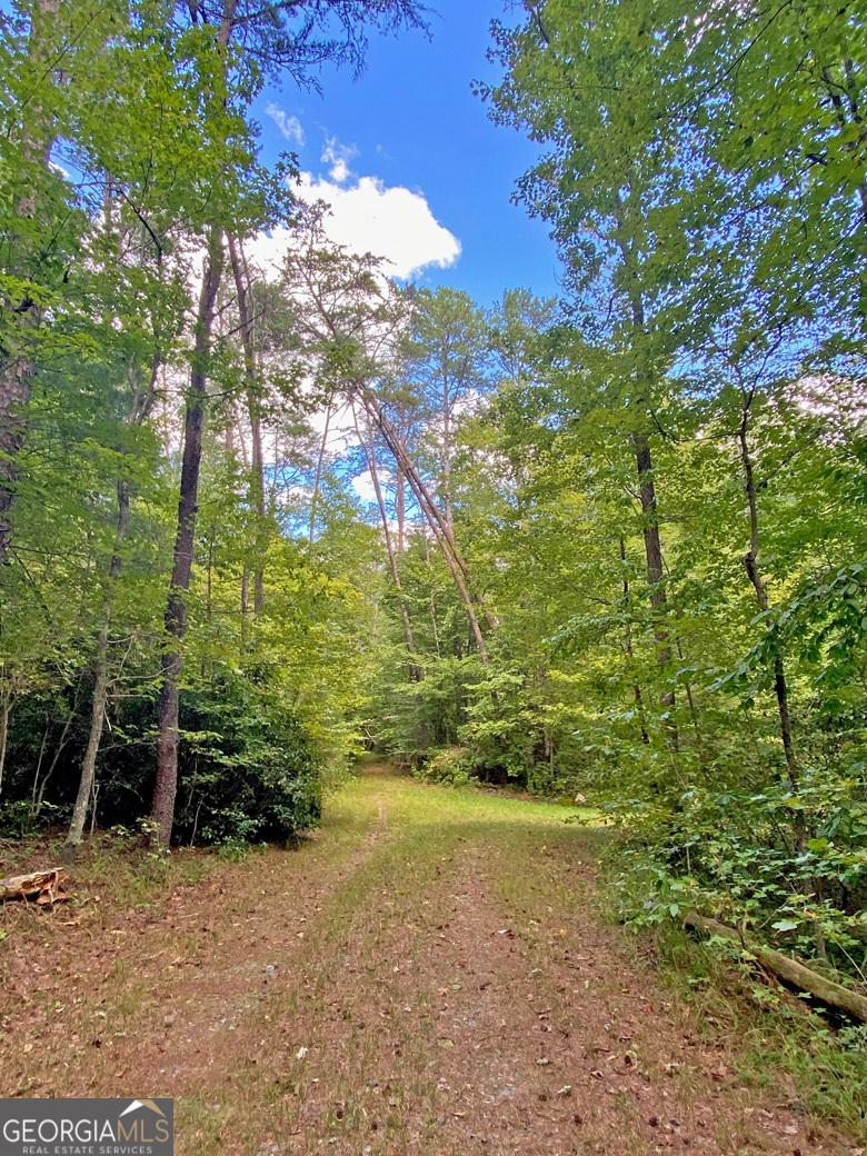 152ac Whitepath Road Property Photo 11