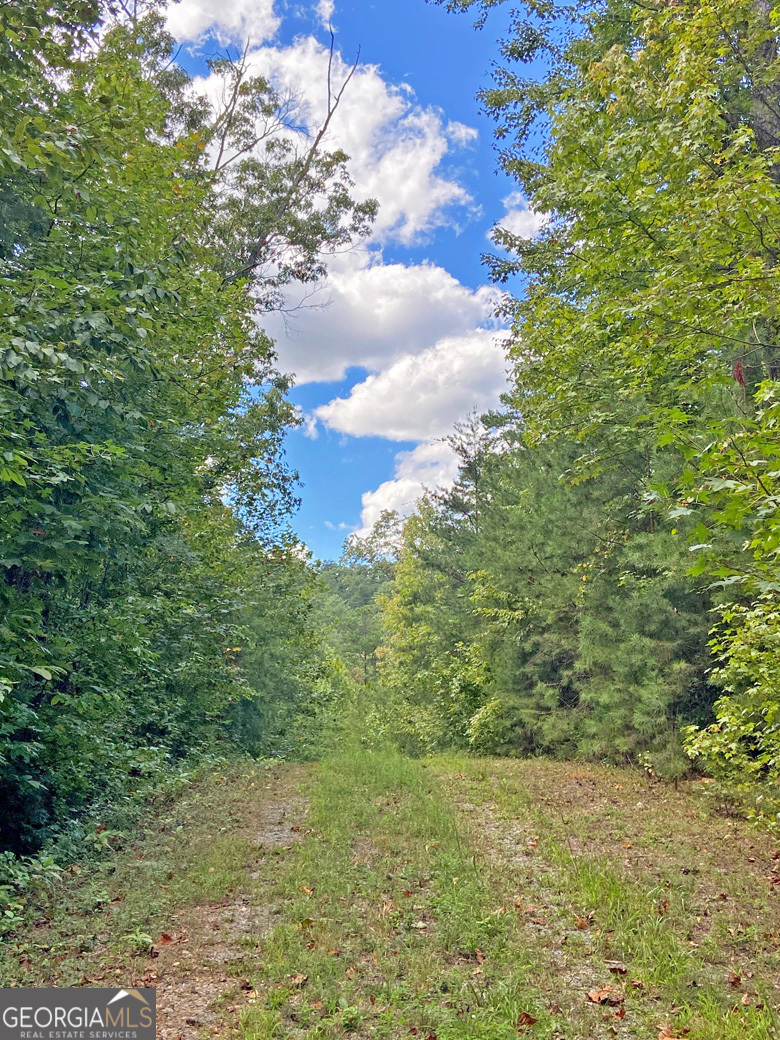152ac Whitepath Road Property Photo 13