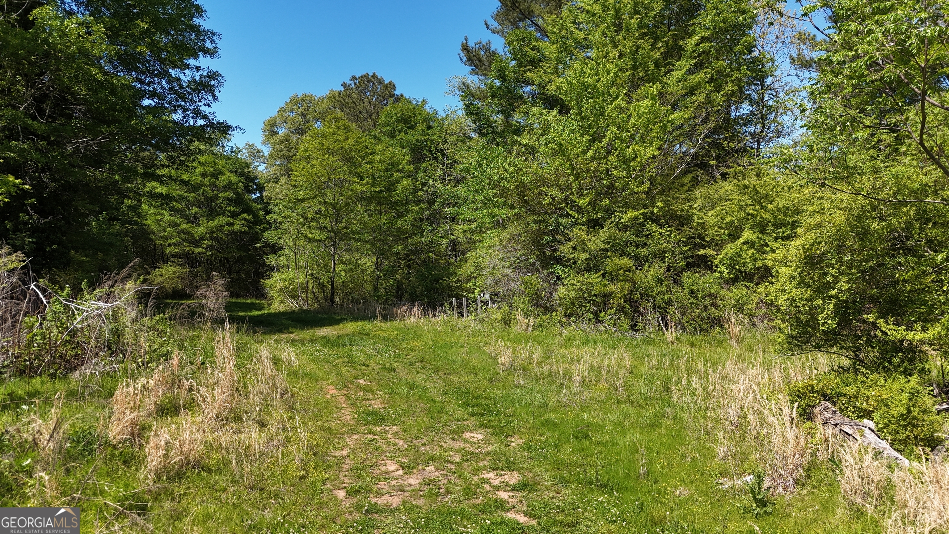 0 Us 53 Highway Property Photo 9