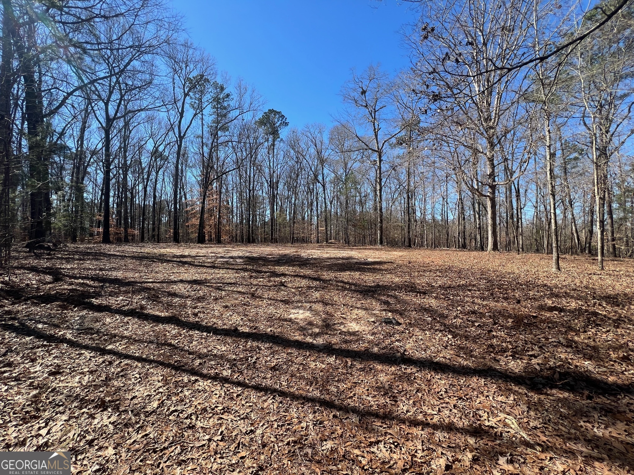 331 Hardwood Hollow Property Photo 1