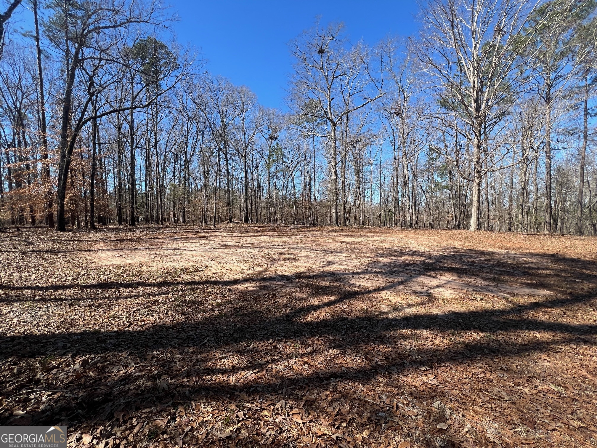 331 Hardwood Hollow Property Photo 2