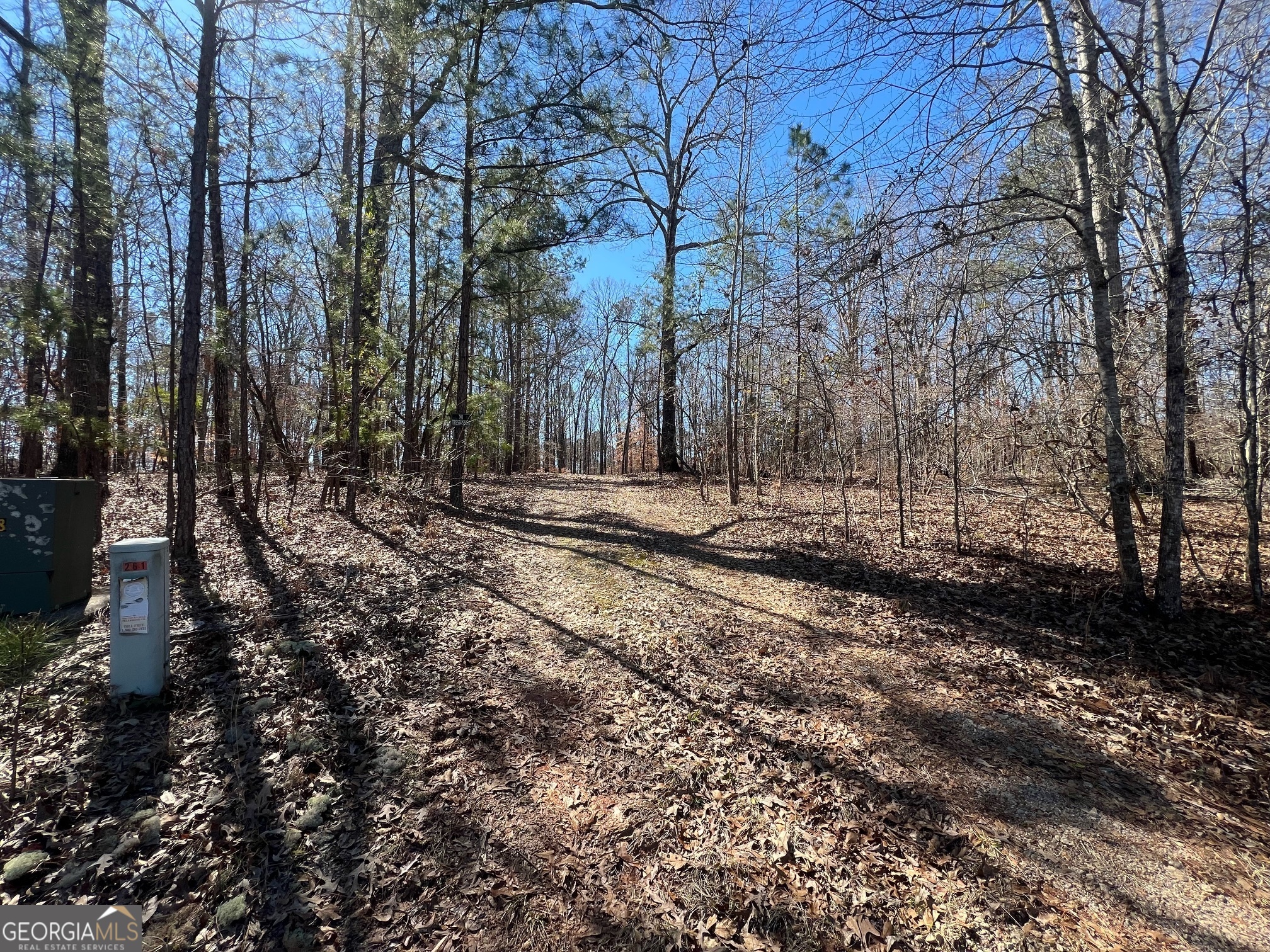 331 Hardwood Hollow Property Photo 3