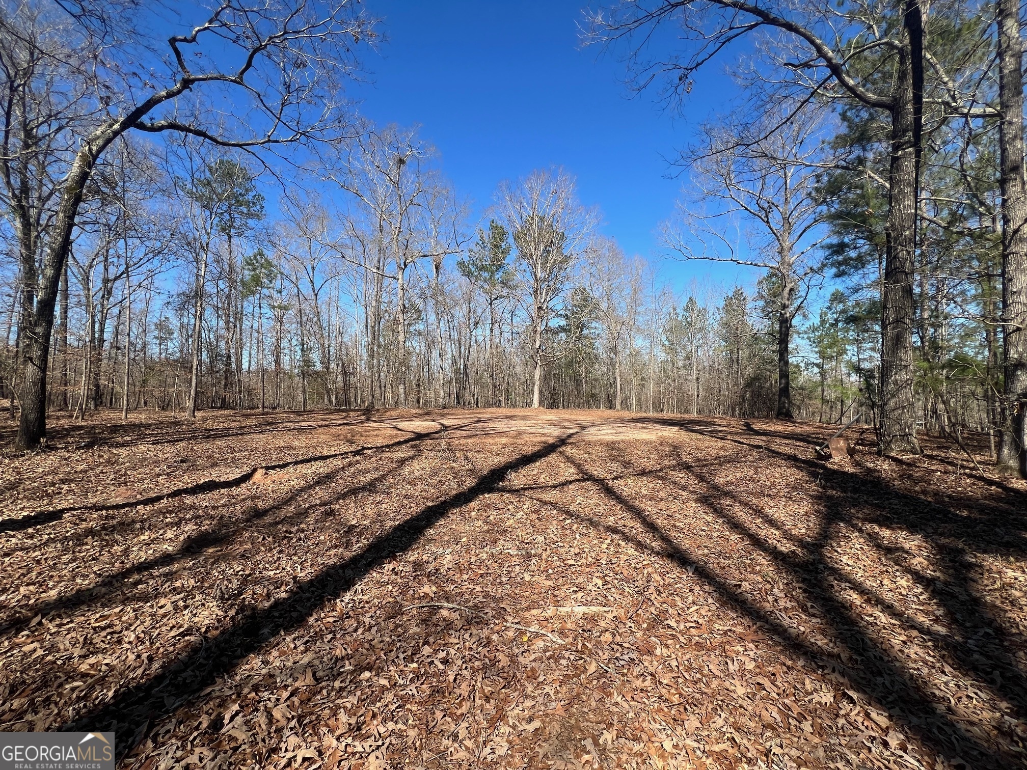 331 Hardwood Hollow Property Photo 4