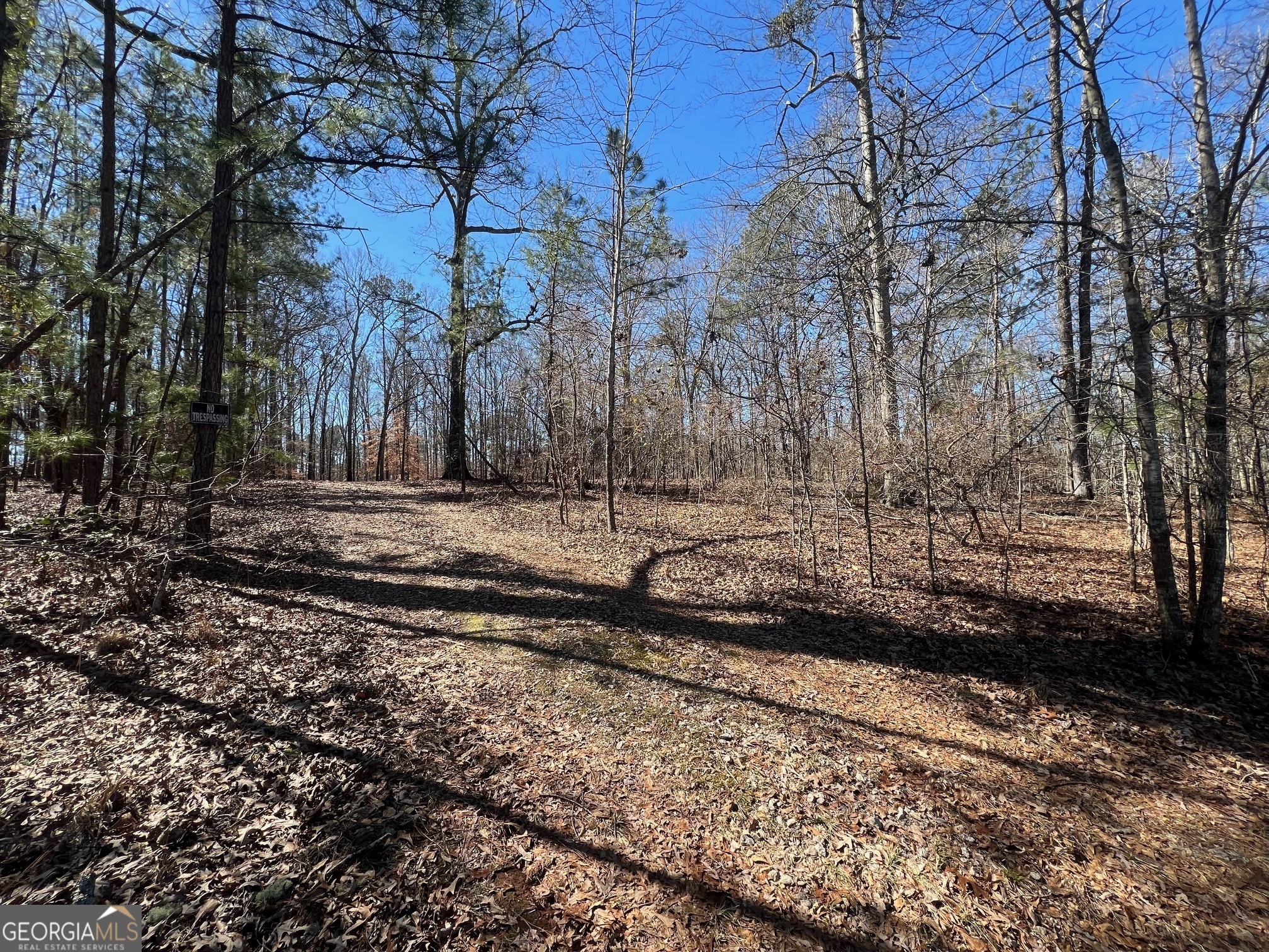 331 Hardwood Hollow Property Photo 5
