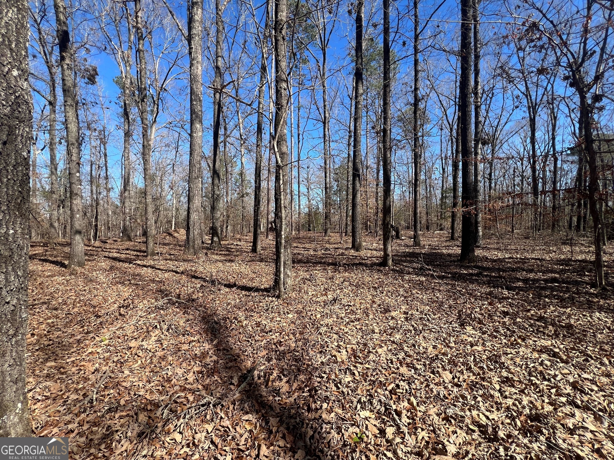 331 Hardwood Hollow Property Photo 6