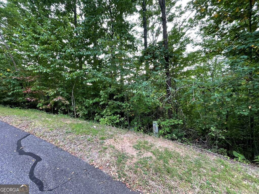Lot 32 J Mountain Harbour Property Photo 2
