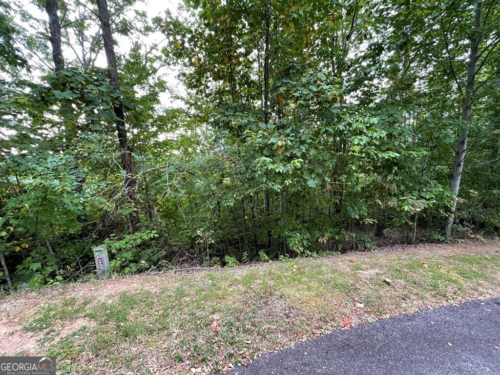 Lot 32 J Mountain Harbour Property Photo 3