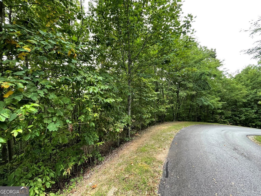 Lot 32 J Mountain Harbour Property Photo 4