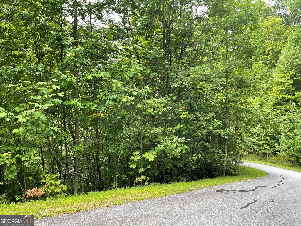 Lot 32 J Mountain Harbour Property Photo 5