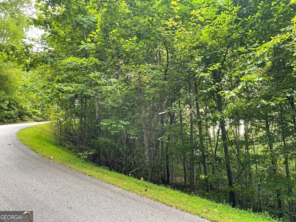 Lot 32 J Mountain Harbour Property Photo 6