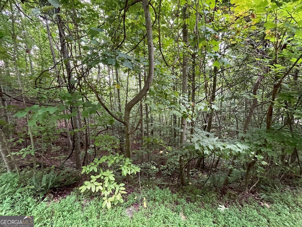 Lot 32 J Mountain Harbour Property Photo 7