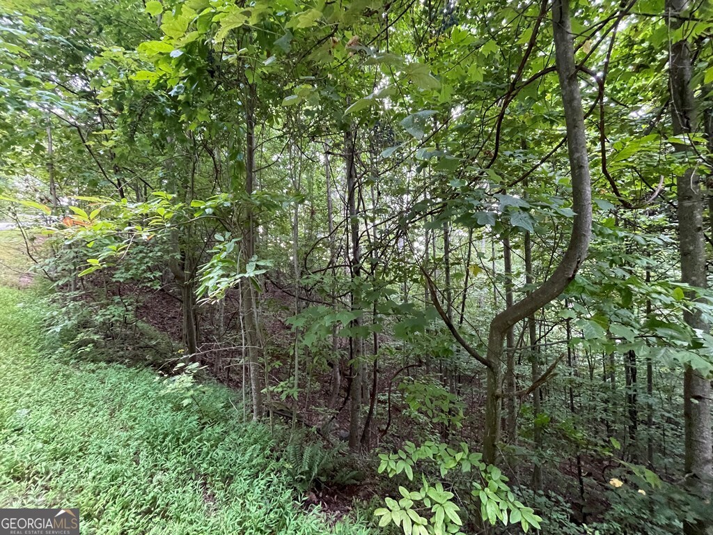 Lot 32 J Mountain Harbour Property Photo 8