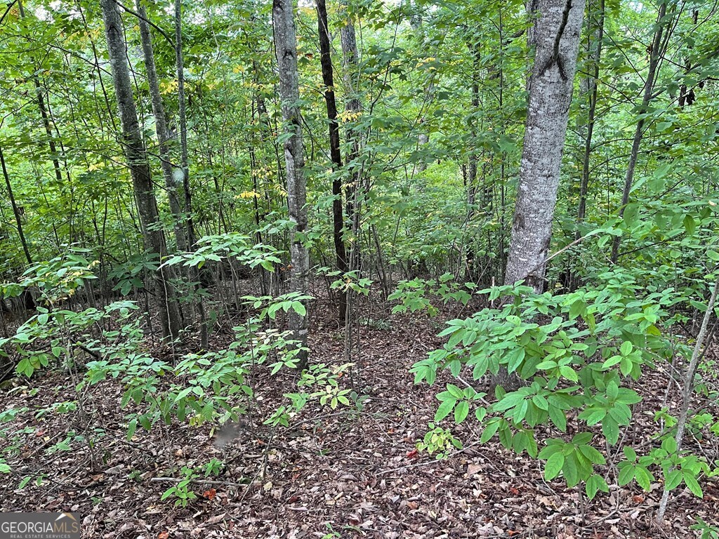 Lot 32 J Mountain Harbour Property Photo 9