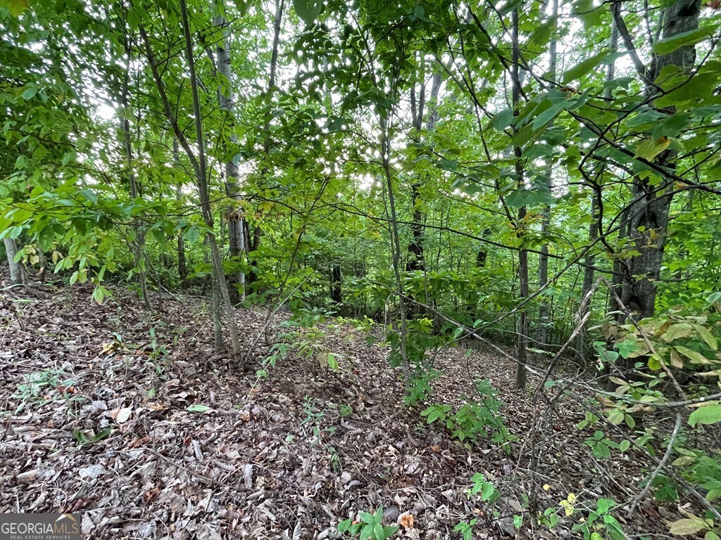 Lot 32 J Mountain Harbour Property Photo 10