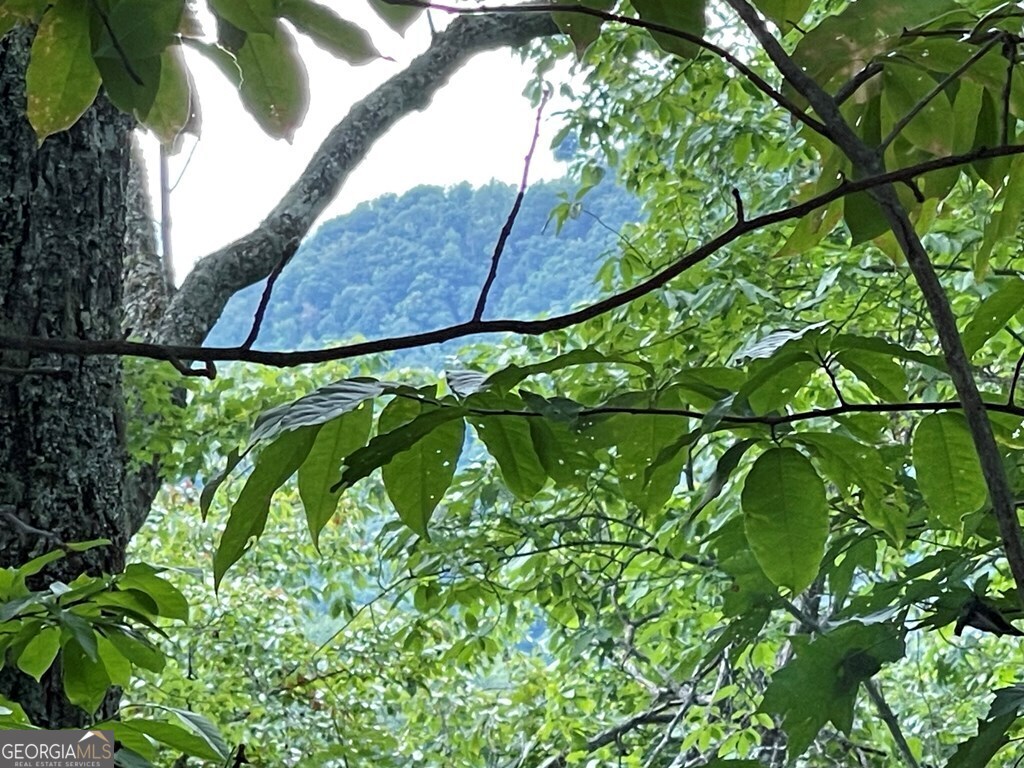 Lot 32 J Mountain Harbour Property Photo 11
