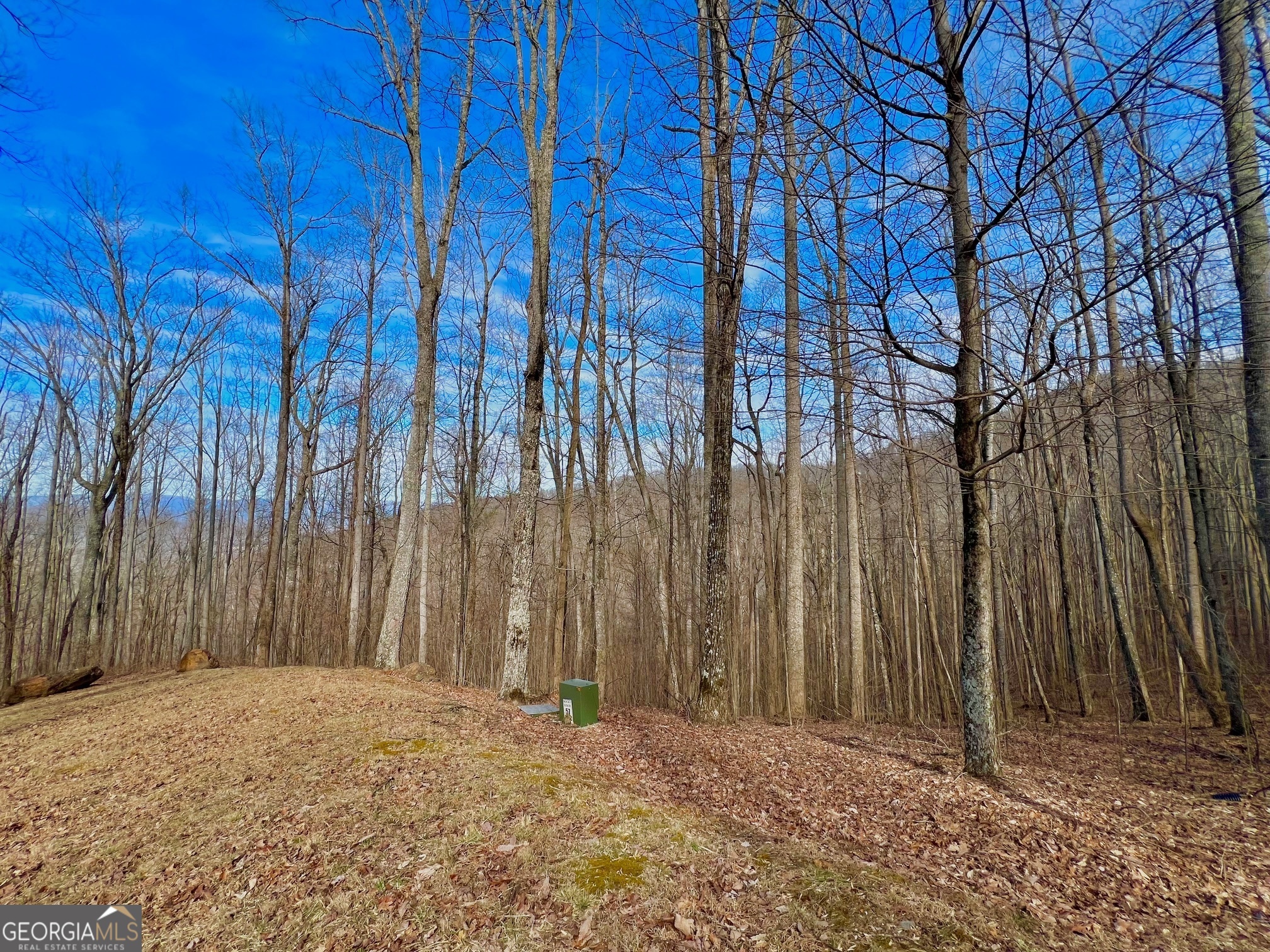 57 Rim Rock