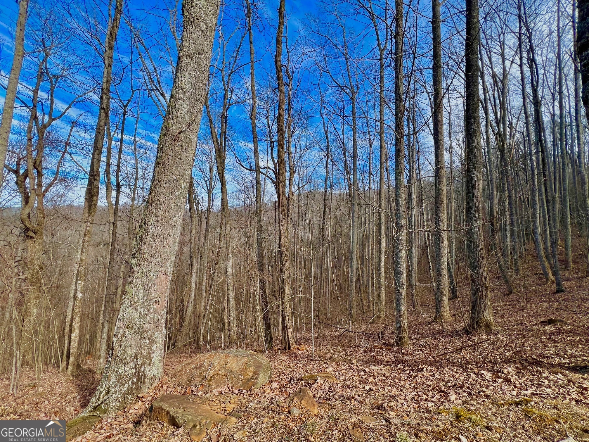 57 Rim Rock Property Photo 3